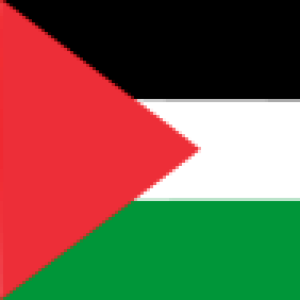 Group logo of PALESTINE